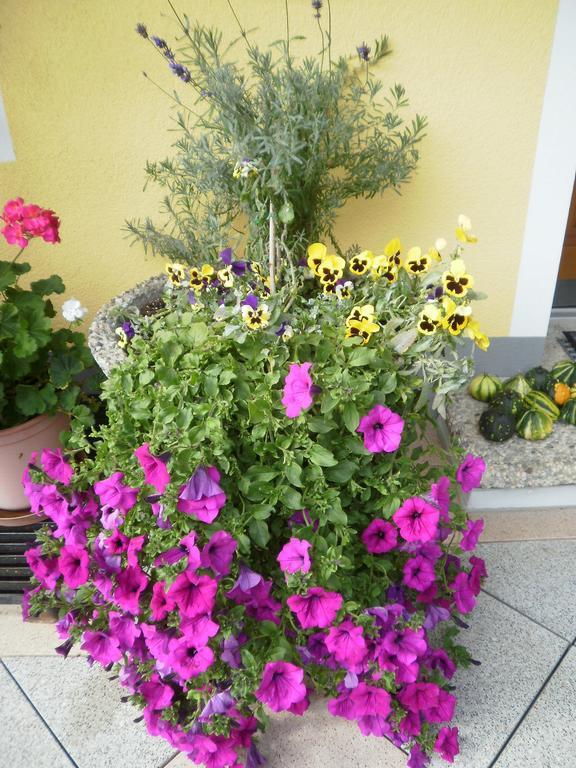 Hotel Haus Vordertiefenbach Wagrain Esterno foto